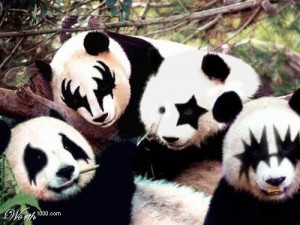 kiss-pandas